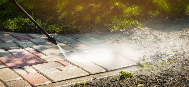 Best Fence Cleaning  in Rochester, IL